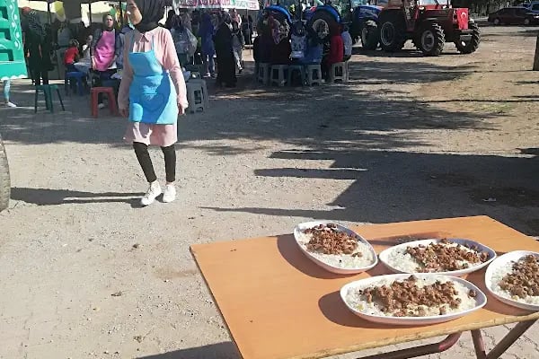 Orhaniye İlkokulu - Resim 13