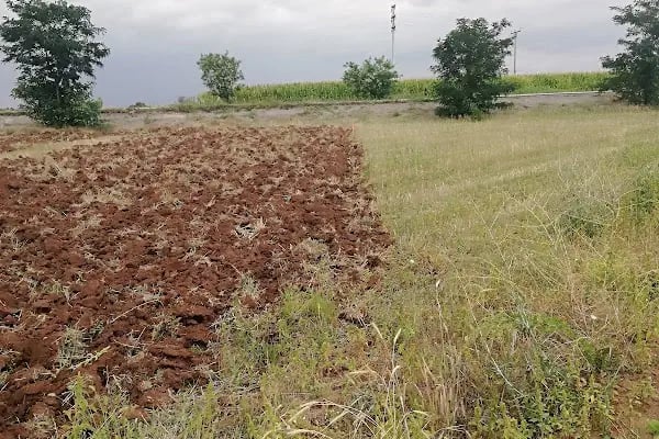 Orhaniye İlkokulu - Resim 11