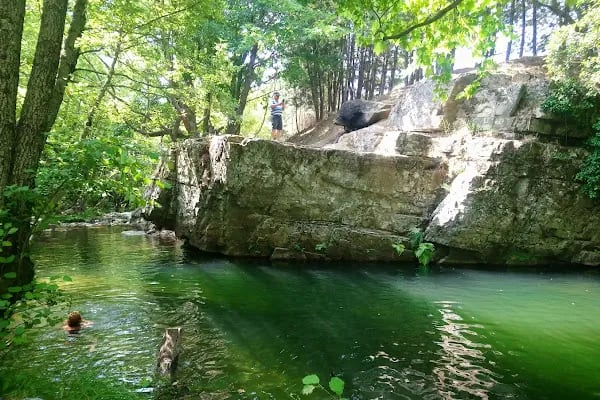 Darıdere Tabiat Parkı - Resim 4