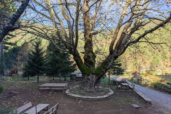 Darıdere Tabiat Parkı - Resim 7