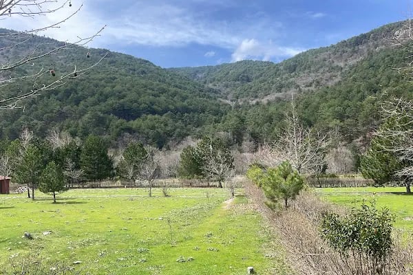 Darıdere Tabiat Parkı - Resim 5