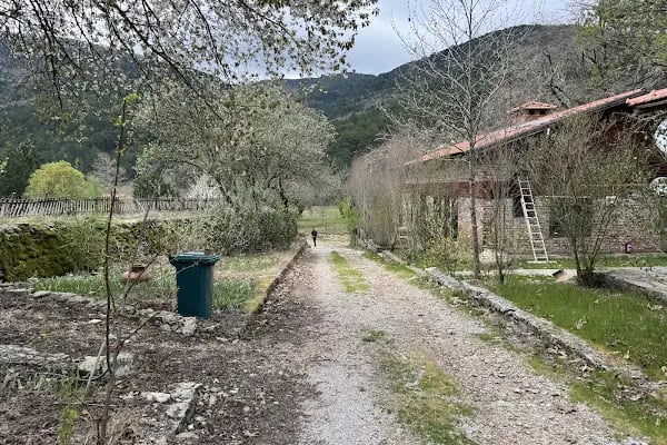 Darıdere Tabiat Parkı - Resim 15