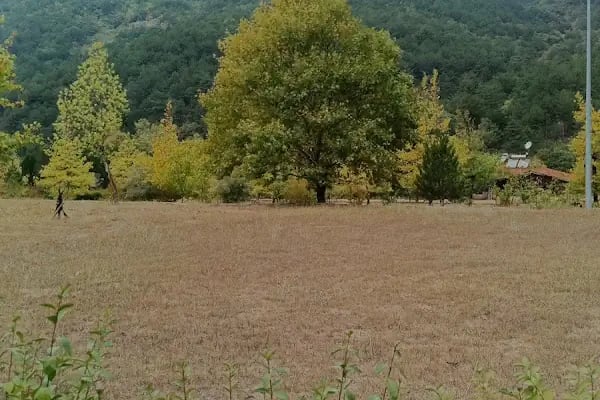 Darıdere Tabiat Parkı - Resim 9