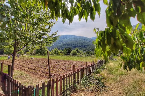 Darıdere Tabiat Parkı - Resim 10