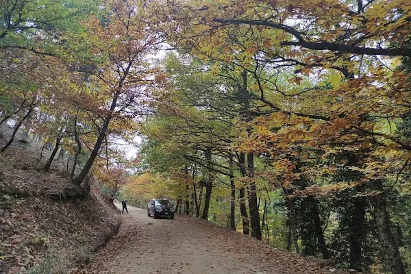 Darıdere Tabiat Parkı - Resim 16