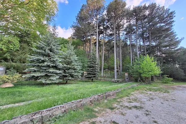 Darıdere Tabiat Parkı - Resim 18