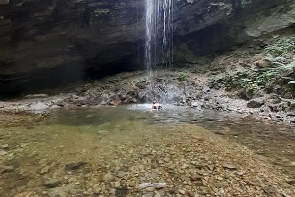 Darıdere Tabiat Parkı - Resim 8