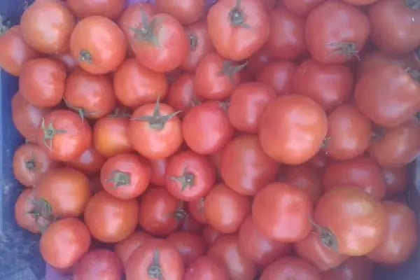 Karkamış Kraloğlu Market - Resim 17
