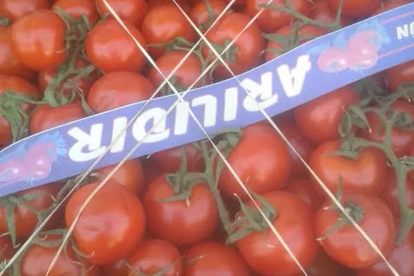 Karkamış Kraloğlu Market - Resim 8