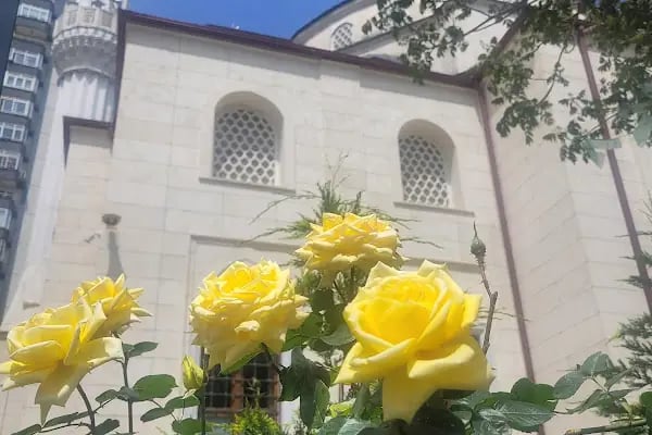 F.S.M Camii - Resim 2