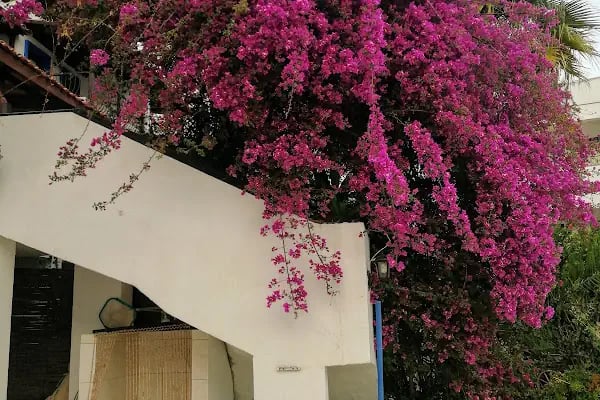 Jarra Hotel - Resim 11