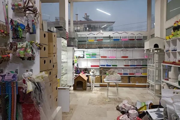 Candan Petshop - Resim 3