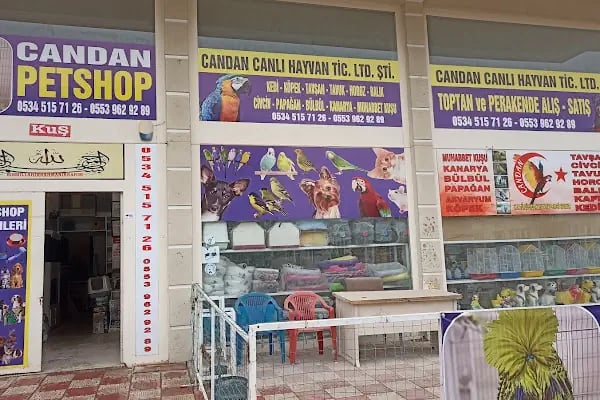 Candan Petshop - Resim 7