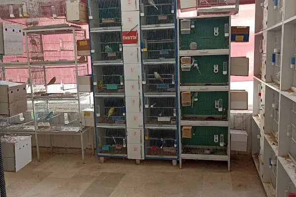 Candan Petshop - Resim 14