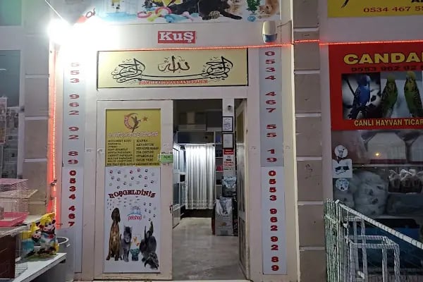 Candan Petshop - Resim 20