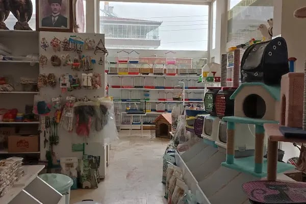 Candan Petshop - Resim 13