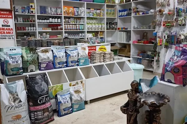 Candan Petshop - Resim 18