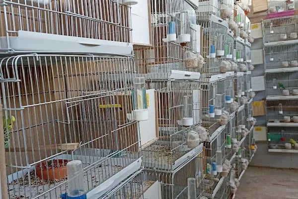 Candan Petshop - Resim 2