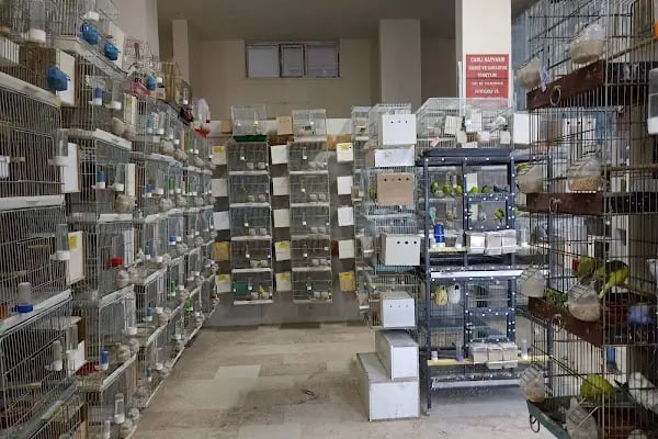 Candan Petshop - Resim 5