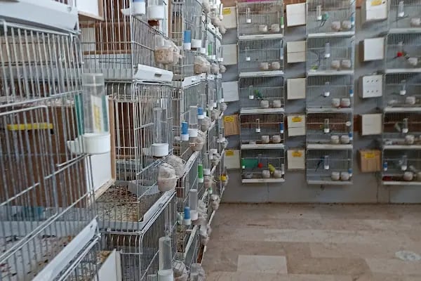 Candan Petshop - Resim 10