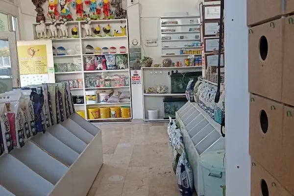 Candan Petshop - Resim 15