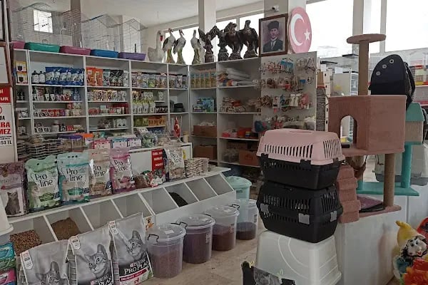 Candan Petshop - Resim 16