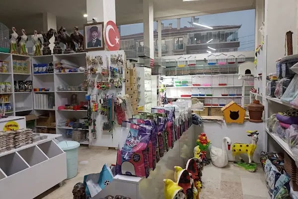 Candan Petshop - Resim 12
