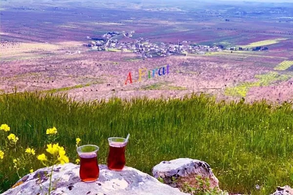 Çiftlik mezarlığı - Resim 5