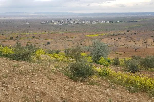 Çiftlik mezarlığı - Resim 3