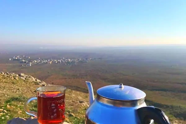 Çiftlik mezarlığı - Resim 16