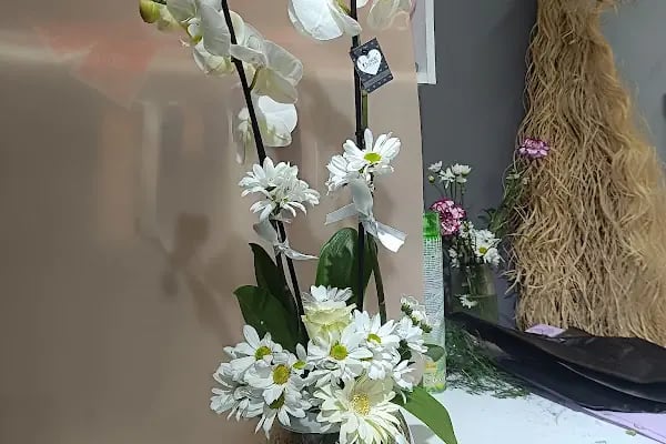 Melodies Çiçek Evi - Resim 9