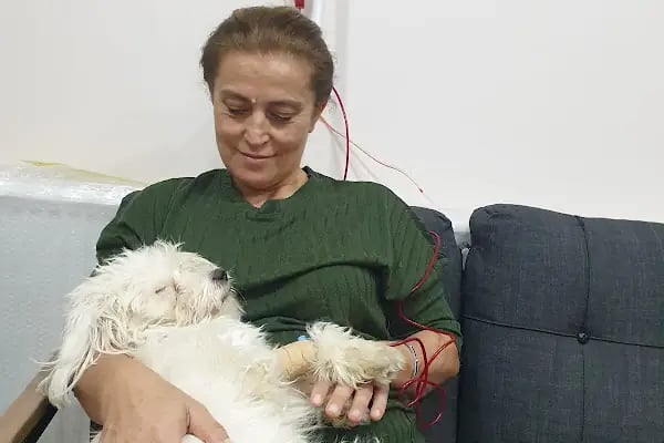 Tersane veteriner kliniği - Resim 14