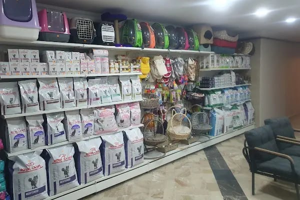 Tersane veteriner kliniği - Resim 3