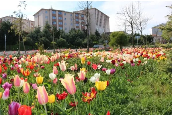 Arnavutköy Polis Meslek Eğitim Merkez - Resim 5