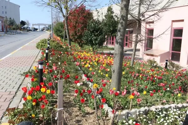 Arnavutköy Polis Meslek Eğitim Merkez - Resim 4