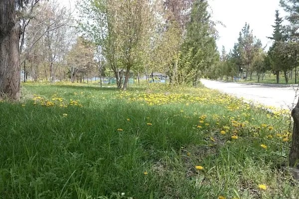 Yaslıca Hayal Park - Resim 4