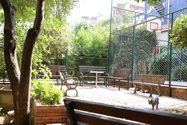 Dilko Bakırköy İngilizce Kursu / İstanbul Yabancı Dil Kursu - Resim 3