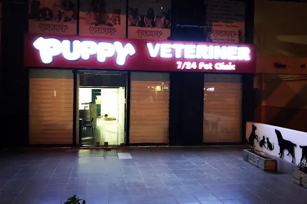 Puppy Veteriner Kliniği - Resim 10