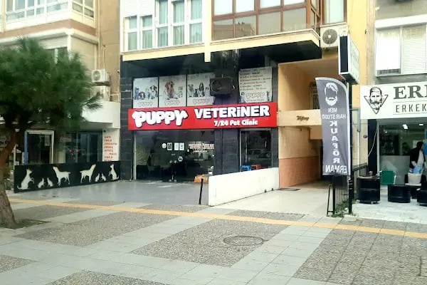 Puppy Veteriner Kliniği - Resim 9