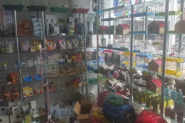 ANKARA AKVARYUM ve CAM RAF İMALATI - Resim 10