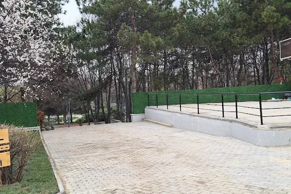 Yenimahalle Tapu Ve Kadastro Müdürlüğü - Resim 7