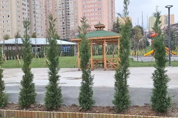 Yenimahalle Tapu Ve Kadastro Müdürlüğü - Resim 6