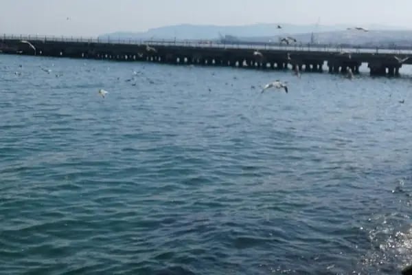 Çağlayan Düğün Salonları Kapaklı - Resim 19