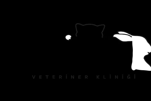 Vesta Veteriner Kliniği - Resim 13