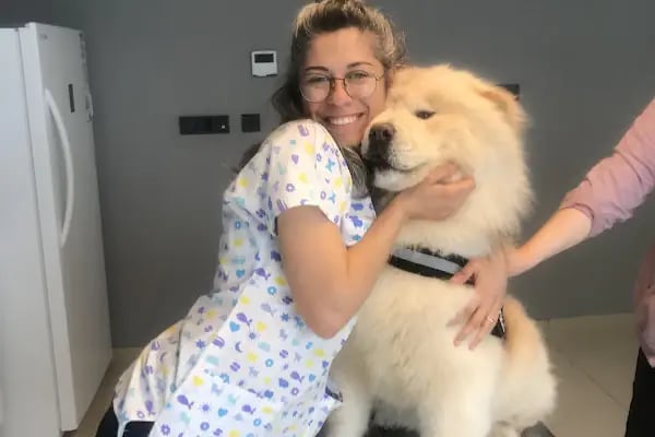 Vesta Veteriner Kliniği - Resim 8