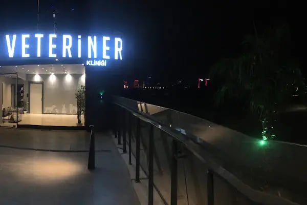 Vesta Veteriner Kliniği - Resim 6