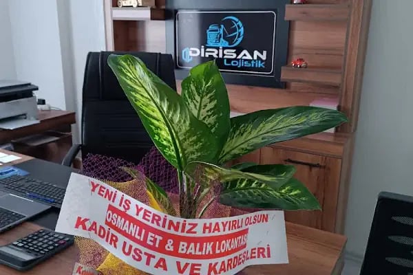 Dirisan Lojistik - Resim 10