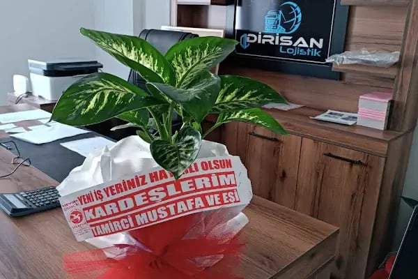 Dirisan Lojistik - Resim 1