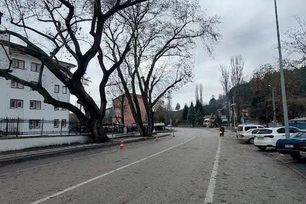 Harmancık İlçe Nüfus Müdürlüğü - Resim 3