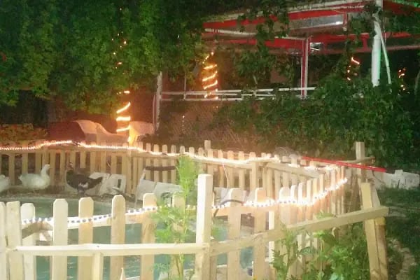 Botanik Park Hotel - Resim 15